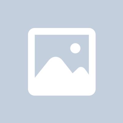 MEIA BOLA PEDRAS LUXO